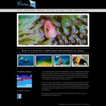 Diving WordPress website with beautiful underwater photos, custom logo and black background