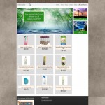 fully featured and functional online store built in WordPress